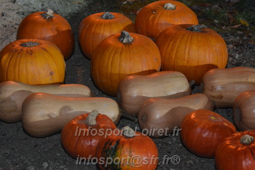 Decalle_Sennely2025/DECALES_00819.JPG