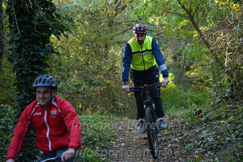 Foulees_Jargeau2025/JARGEAU2025_01140.JPG