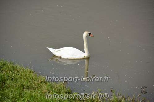 TriathlonASFAS2024_Dimanche/TRDIM2024_08851.JPG