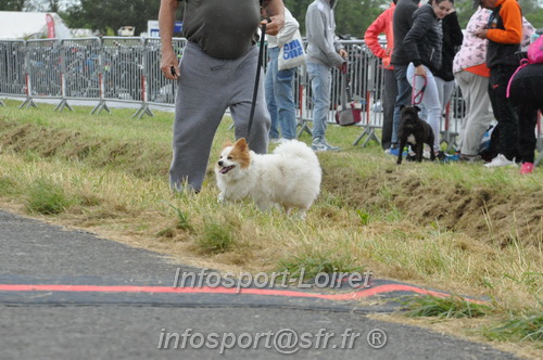 Vendome_2024_Triathlon_Dimanche/VDDIM2024_04748.JPG