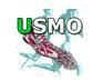 usmo2.jpg (39508 octets)