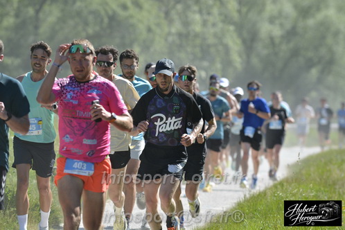 Foulees_Orleans2026/ORLEANSF2026_12211.JPG