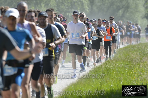Foulees_Orleans2026/ORLEANSF2026_12237.JPG