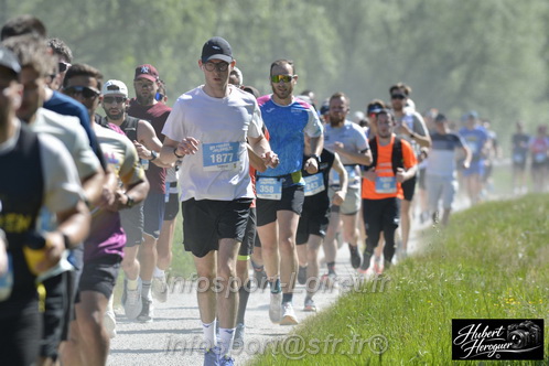 Foulees_Orleans2026/ORLEANSF2026_12238.JPG