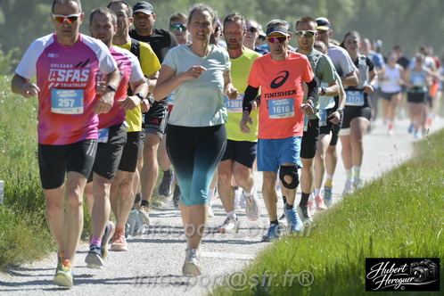 Foulees_Orleans2026/ORLEANSF2026_12252.JPG