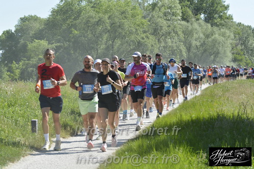 Foulees_Orleans2026/ORLEANSF2026_12279.JPG