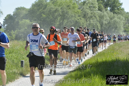 Foulees_Orleans2026/ORLEANSF2026_12284.JPG