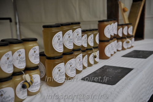 Foulees_de_Arche2026/ARCHE2026_00009.JPG