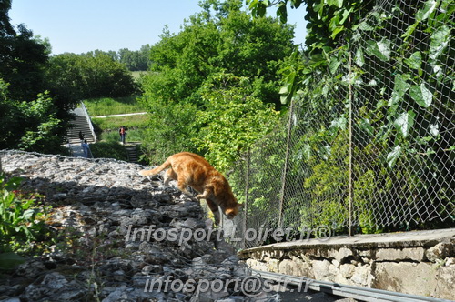 La_Cacienne2025/CACIENNE2025_06019.JPG
