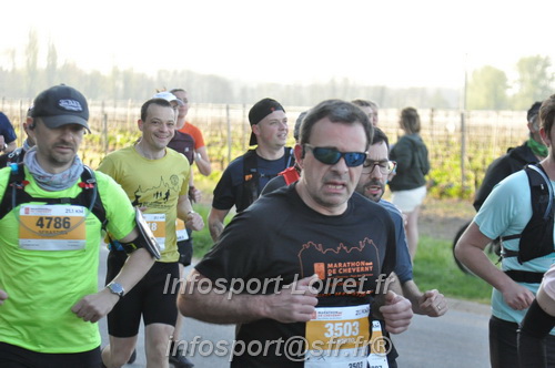 Marathon_Cheverny2025_Dimanche/2025CHEVERNY_011552.JPG