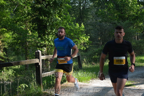 Marathon_Cheverny2026_Dimanche/CHEVERNYSM2026_02143.JPG