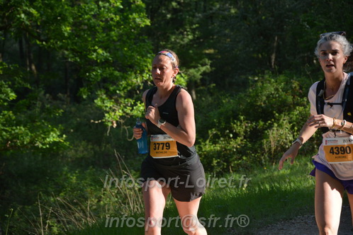 Marathon_Cheverny2026_Dimanche/CHEVERNYSM2026_02536.JPG