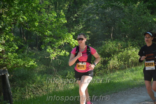 Marathon_Cheverny2026_Dimanche/CHEVERNYSM2026_02579.JPG