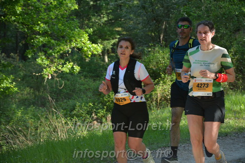 Marathon_Cheverny2026_Dimanche/CHEVERNYSM2026_02625.JPG