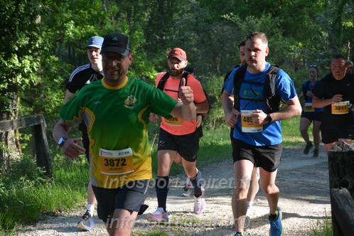 Marathon_Cheverny2026_Dimanche/CHEVERNYSM2026_02968.JPG