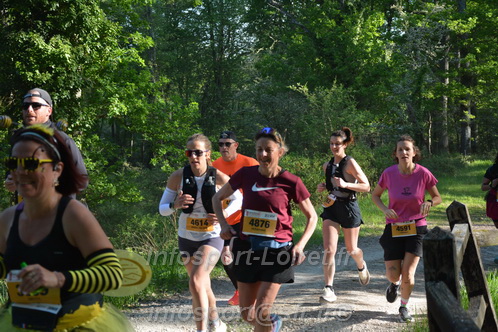 Marathon_Cheverny2026_Dimanche/CHEVERNYSM2026_03186.JPG