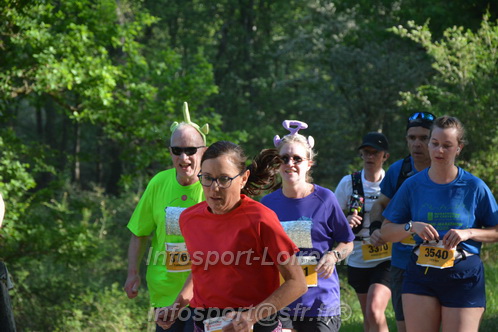 Marathon_Cheverny2026_Dimanche/CHEVERNYSM2026_03701.JPG