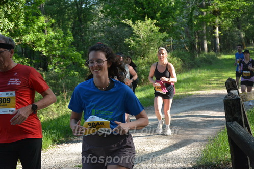 Marathon_Cheverny2026_Dimanche/CHEVERNYSM2026_04117.JPG