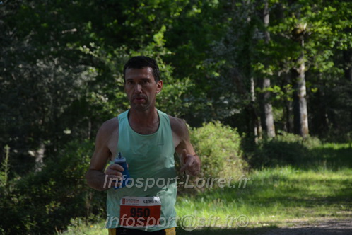 Marathon_Cheverny2026_Dimanche/CHEVERNYSM2026_04346.JPG