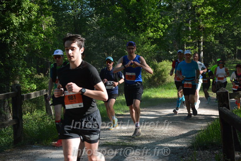 Marathon_Cheverny2026_Dimanche/CHEVERNYSM2026_04660.JPG