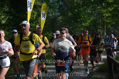 Marathon_Cheverny2026_Dimanche/CHEVERNYSM2026_04892.JPG