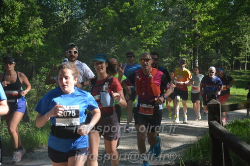 Marathon_Cheverny2026_Dimanche/CHEVERNYSM2026_05273.JPG