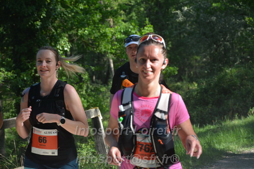 Marathon_Cheverny2026_Dimanche/CHEVERNYSM2026_05840.JPG