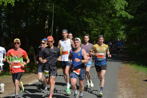 Marathon_Cheverny2026_Dimanche/CHEVERNYSM2026_06537.JPG