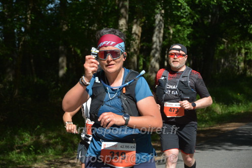 Marathon_Cheverny2026_Dimanche/CHEVERNYSM2026_07676.JPG