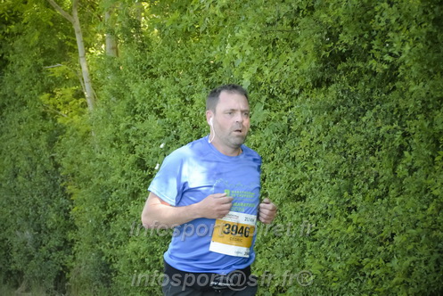 Marathon_Cheverny2026_Dimanche/CHEVERNYSM2026_08750.JPG