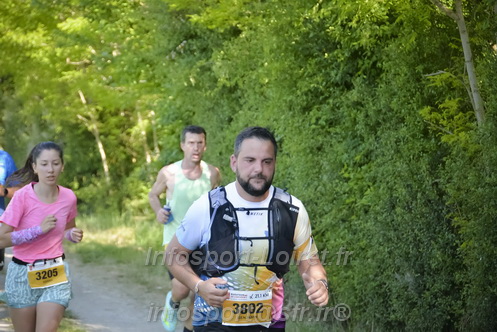 Marathon_Cheverny2026_Dimanche/CHEVERNYSM2026_08951.JPG