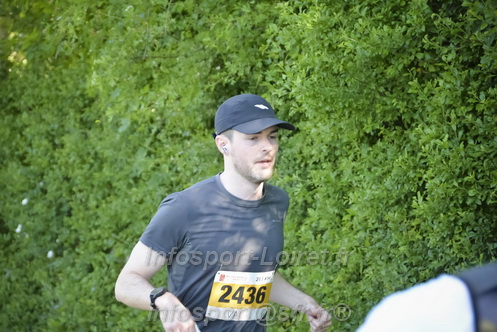 Marathon_Cheverny2026_Dimanche/CHEVERNYSM2026_09040.JPG