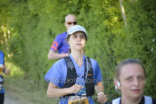 Marathon_Cheverny2026_Dimanche/CHEVERNYSM2026_09297.JPG