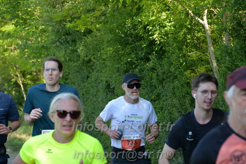 Marathon_Cheverny2026_Dimanche/CHEVERNYSM2026_09553.JPG