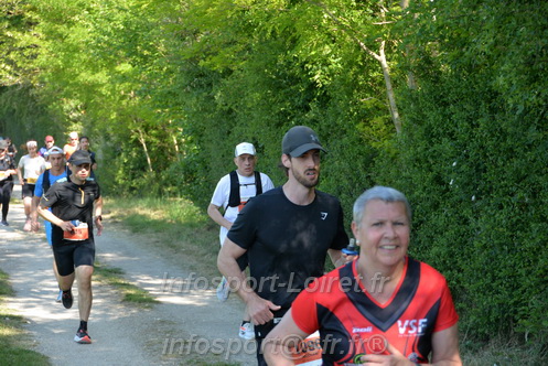 Marathon_Cheverny2026_Dimanche/CHEVERNYSM2026_09586.JPG