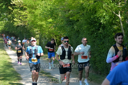 Marathon_Cheverny2026_Dimanche/CHEVERNYSM2026_09645.JPG