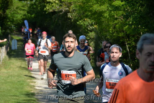 Marathon_Cheverny2026_Dimanche/CHEVERNYSM2026_10007.JPG