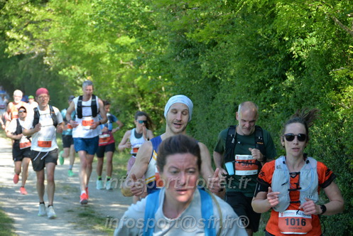 Marathon_Cheverny2026_Dimanche/CHEVERNYSM2026_10011.JPG