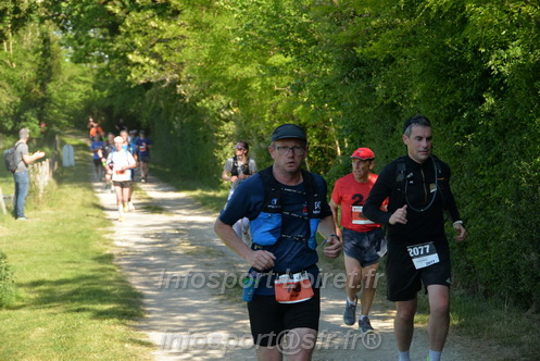 Marathon_Cheverny2026_Dimanche/CHEVERNYSM2026_10046.JPG