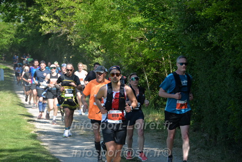 Marathon_Cheverny2026_Dimanche/CHEVERNYSM2026_10168.JPG