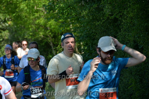 Marathon_Cheverny2026_Dimanche/CHEVERNYSM2026_10452.JPG