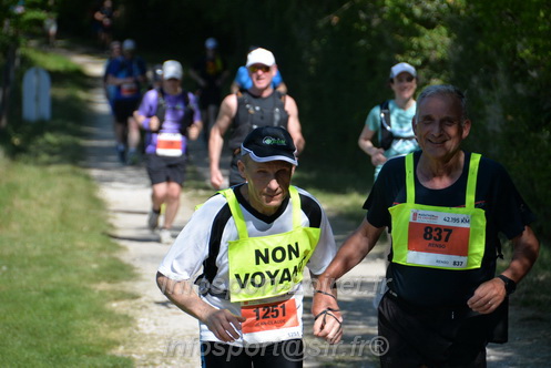 Marathon_Cheverny2026_Dimanche/CHEVERNYSM2026_10618.JPG