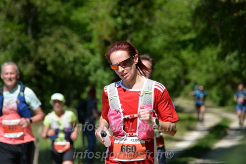 Marathon_Cheverny2026_Dimanche/CHEVERNYSM2026_11595.JPG