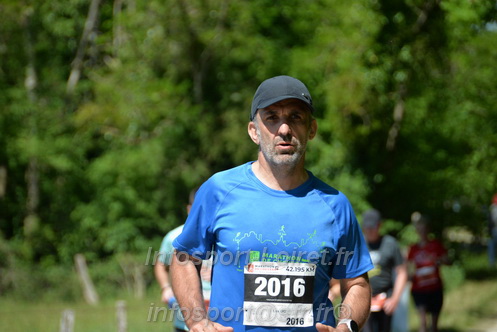 Marathon_Cheverny2026_Dimanche/CHEVERNYSM2026_11800.JPG