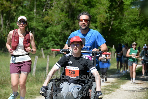 Marathon_Cheverny2026_Dimanche/CHEVERNYSM2026_11884.JPG
