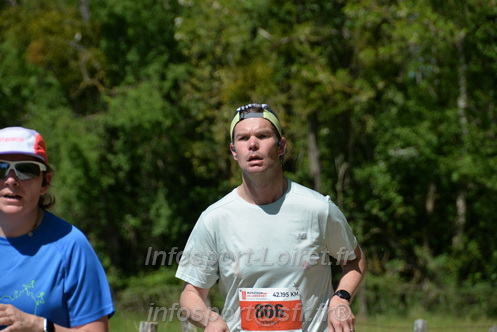 Marathon_Cheverny2026_Dimanche/CHEVERNYSM2026_11976.JPG