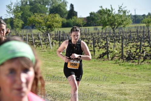 Marathon_Cheverny2026_Dimanche/CHEVERNYSM2026_14377.JPG