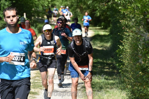 Marathon_Cheverny2026_Dimanche/CHEVERNYSM2026_16129.JPG
