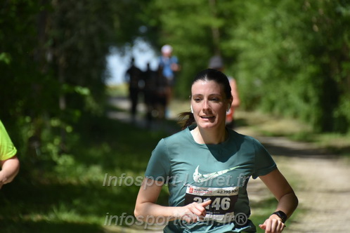 Marathon_Cheverny2026_Dimanche/CHEVERNYSM2026_16582.JPG
