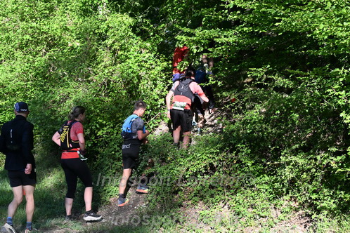 Marathon_Cheverny2026_Samedi/CHEVERNYTRAIL2026_01957.JPG
